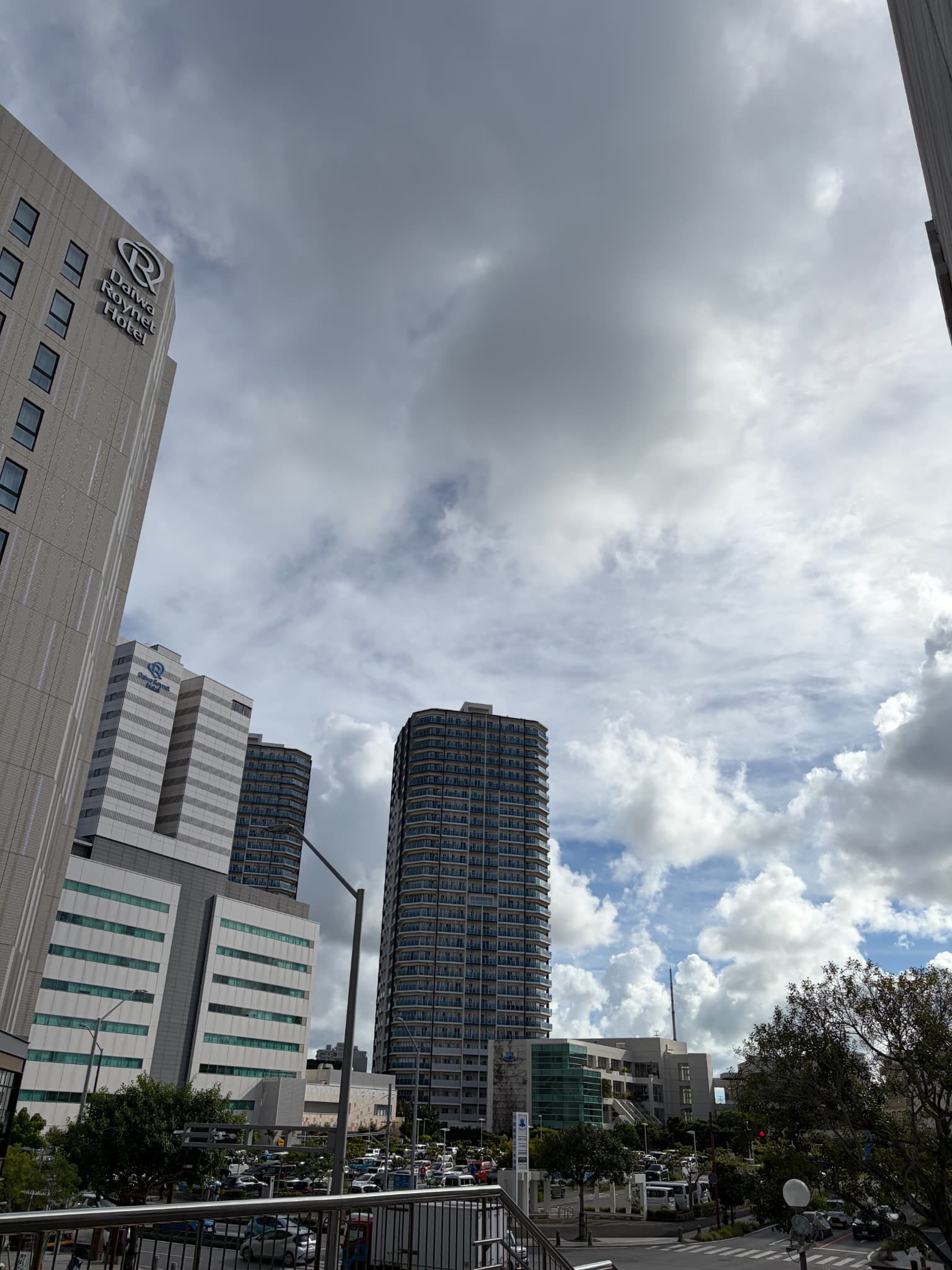 iPhone17カメラ撮影(標準)