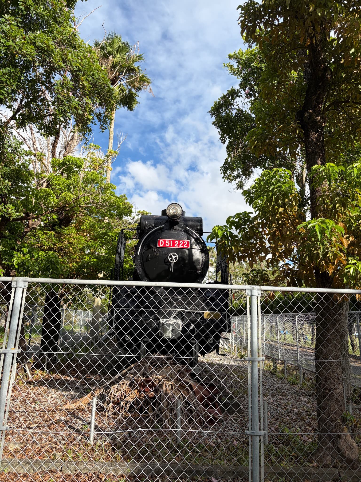 iPhone17カメラ撮影(標準)