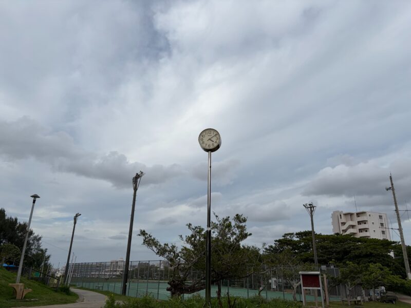 iPhone17カメラ撮影(標準)